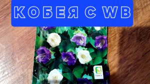 ЦВЕТОК " КОБЕЯ "😍 ИЗ 5 СЕМЕЧЕК- ВСЕГО 1 🌱 РОСТОК 🥺