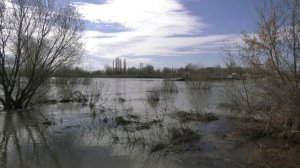По данным МЧС гидрологическая обстановка в Воронежской области находится в норме