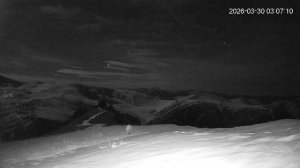 Ночной проход снежного барса