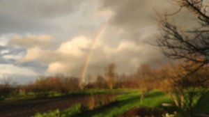 После дождя тёплого и доброго,