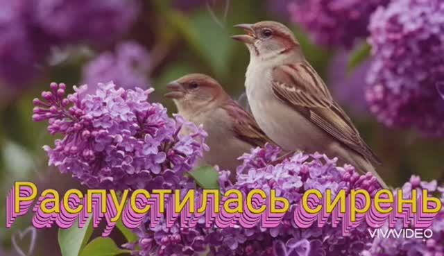 *** ДОБРОЕ УТРО *** "РАСПУСТИЛАСЬ СИРЕНЬ" ***