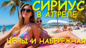 Сириус погода, Сочи цены,  Сириус Сочи, Сочи сегодня, Адлер погода, Где отдохнуть, отели Сочи