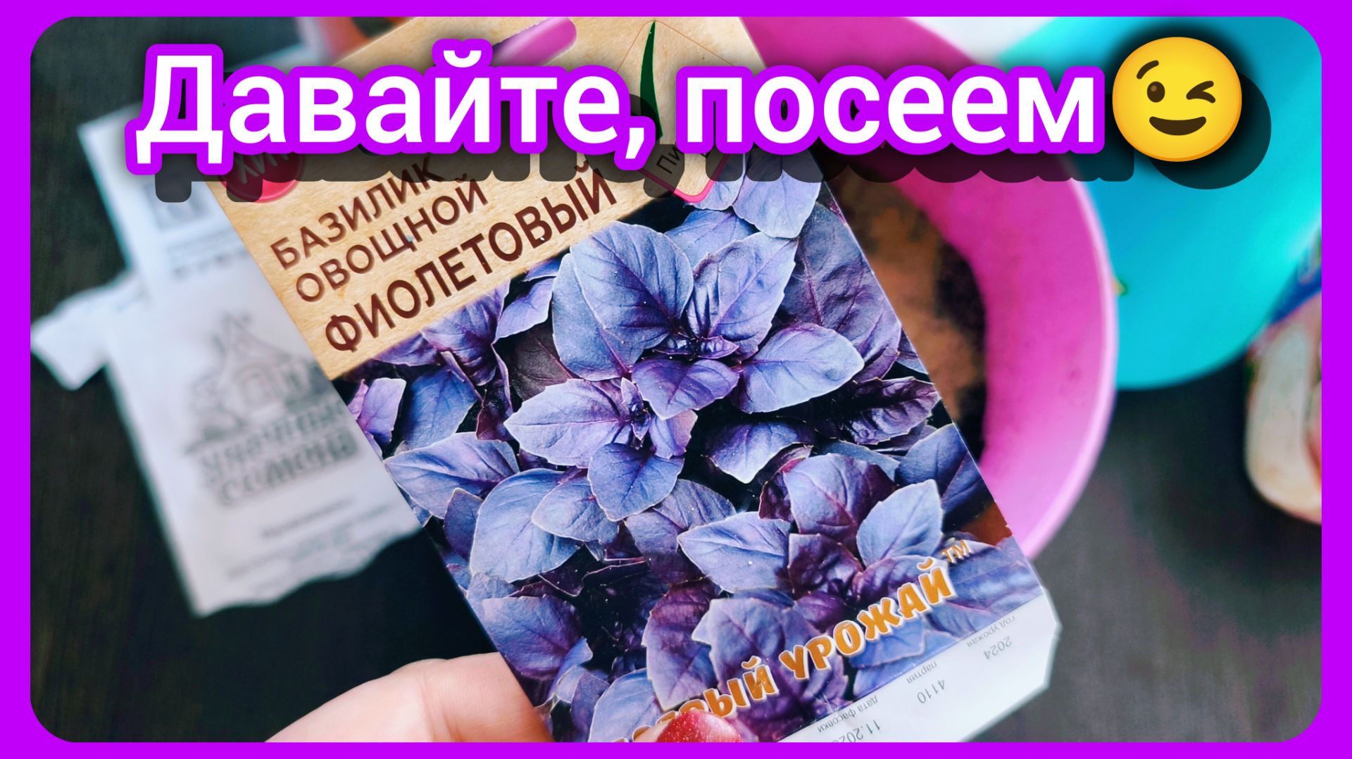 Базилик. Рассаде быть!🌱