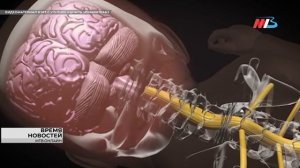 Волгоградские специалисты приняли участие в семинаре благотворительного фонда «Спина бифида»