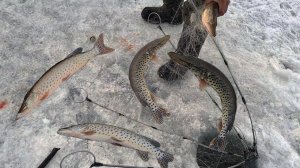 Лучшая Рыбалка на Щуку. Секретные Места Ловли на ХАПУГУ. Рыбалка 2026 Лучшая Русская Рыбалка Онлайн