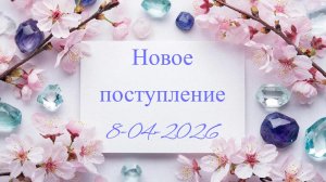 Новое поступление 08-04-2026