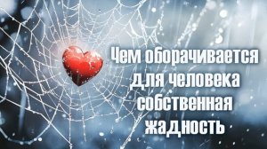 Чем оборачивается для человека жадность