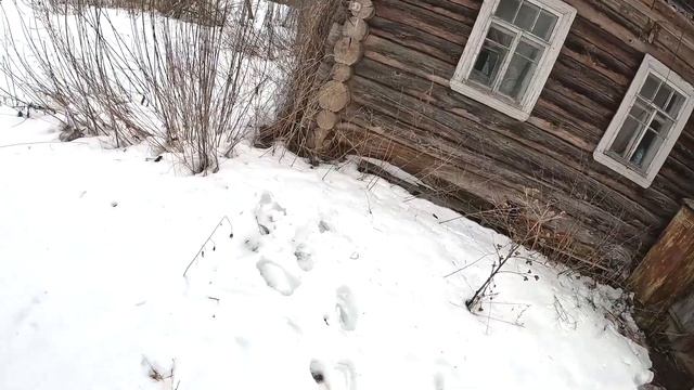 КУПИЛ ЗАБРОШЕННЫЙ ДОМ В ДЕРЕВНЕ ! БУДЕТ СЛОЖНО... №1