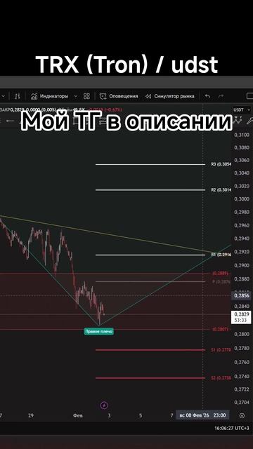 TRX USDT анализ монеты #спекуляции #биткоин #трейдинг #сетап
