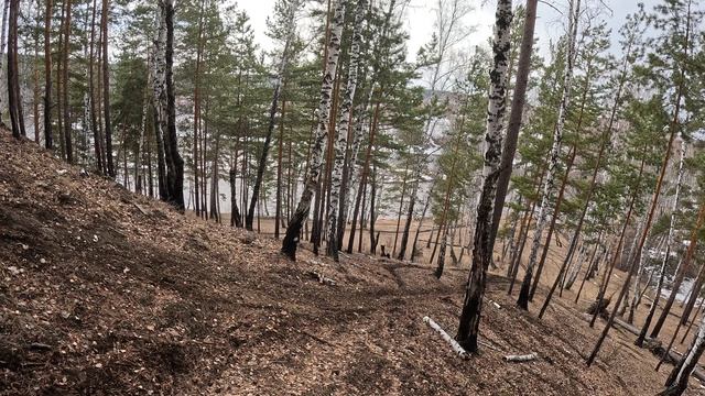 Ревун смотреть онлайн