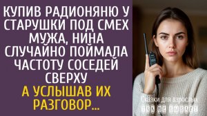 Истории из жизни Купив радионяню у старушки, Нина случайно поймала частоту соседей сверху…
