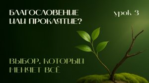 Благословение или проклятие: выбор, который меняет всё | Древо жизни
