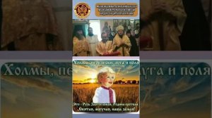 Призыв о помощи Чад РПЦ ЦИ.