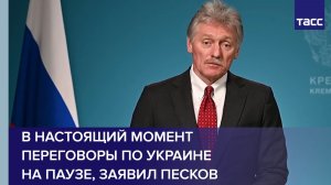 В настоящий момент переговоры по Украине на паузе, заявил Песков
