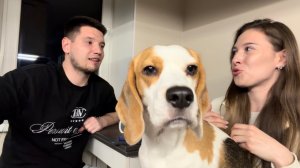 Семья Стародубцевых #ХочуВСтавкуНаЛюбовь