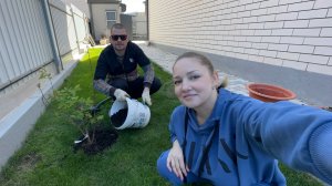 ВЛОГ! Не знаю чем но болею! Юля портит газон!