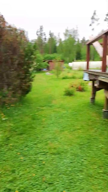 бассейн на даче