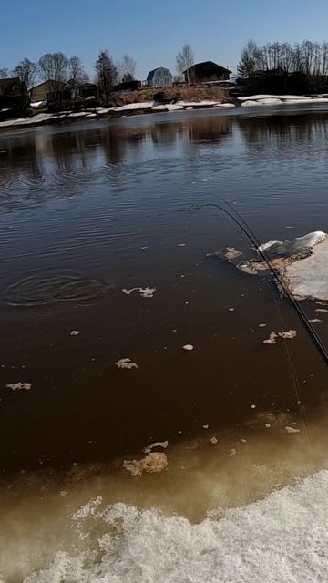 Мартовская плотва на спиннинг