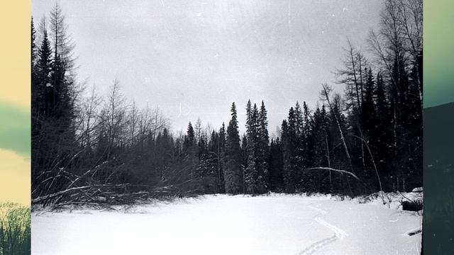 В чем популярность Перевала Дятлова?