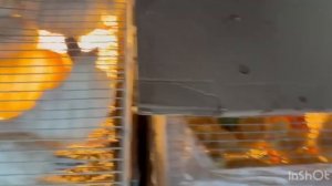 5.04.2026г ст.Бронницы полный Обзор!!!