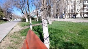 Что же делает ворона?