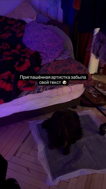 Уговоры звукаря не особо помогли 🗿😅