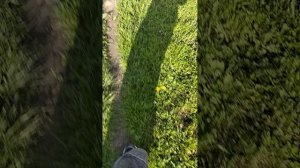 влог в деревне с Бобиком 1-ая часть