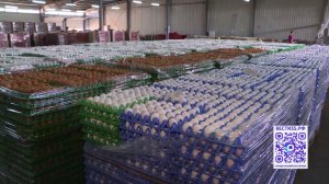 Цены на яйца не увеличатся перед Пасхой в Вологодской области