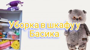 Уборка в Шкафу у басика