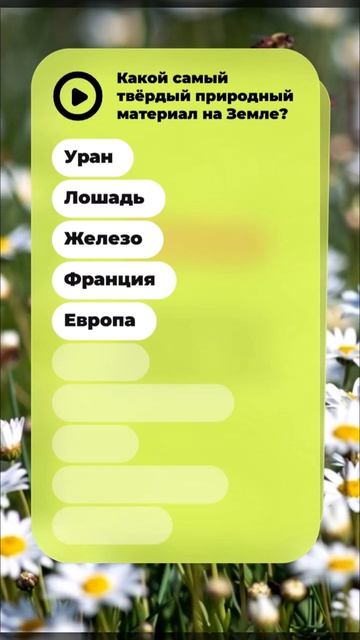 Квиз: Сможешь ответить на все 10 вопросов? 🧠