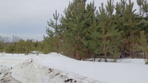 Прогулка с внучатами 5 апреля