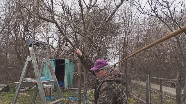 НА ПЕНСИИ в ДЕРЕВНЕ Сегодня