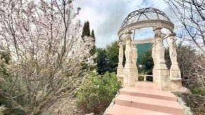 Весна в парке уже наступила и он просто РАСЦВЕТАЕТ у нас на глазах❤️