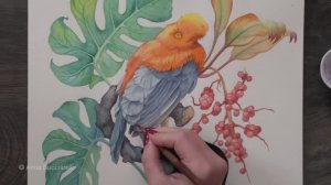 Секрет красивых акварельных перьев