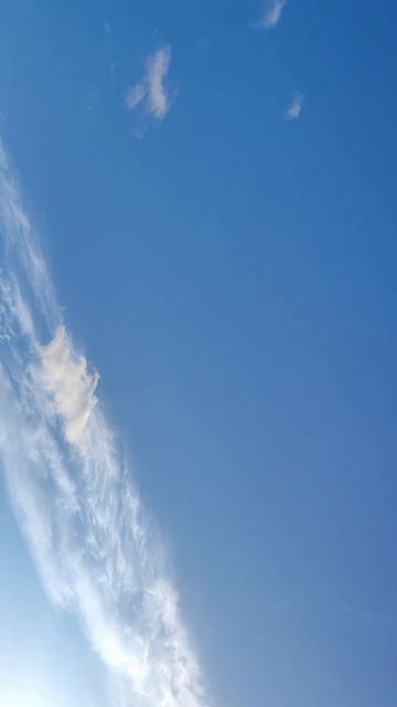 Где я, там светит Солнце
#Жиза 
#Сеща