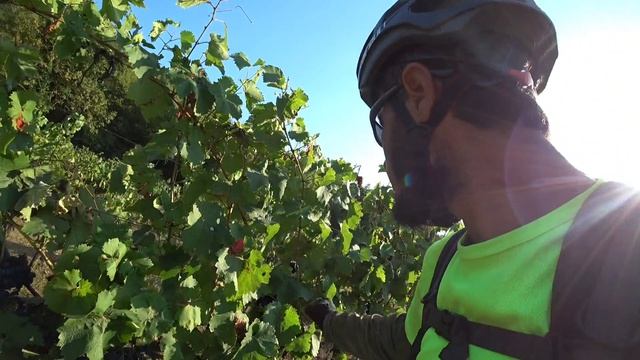 11. Велопутешествие 2025 Поездка на Черное море. Абрау-Дюрсо Лиманчик отдых Новороссийск