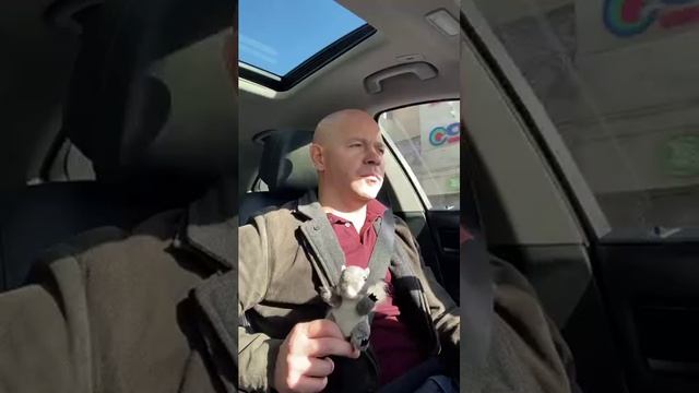 Эпилептическая дезинтеграция и эпилептическая энцефалопатия