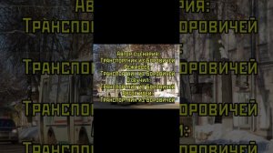 Обзор маршрута 110 Боровичи — Прошково — Ровное