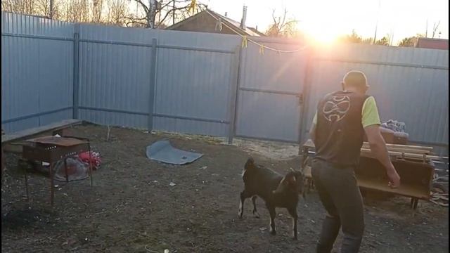 Какая красота