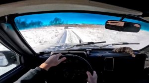 Царь горы ! Засадили машины по полной ! НИВА и JEEP в стоке ! ХУТОР В ЛЕСУ №986