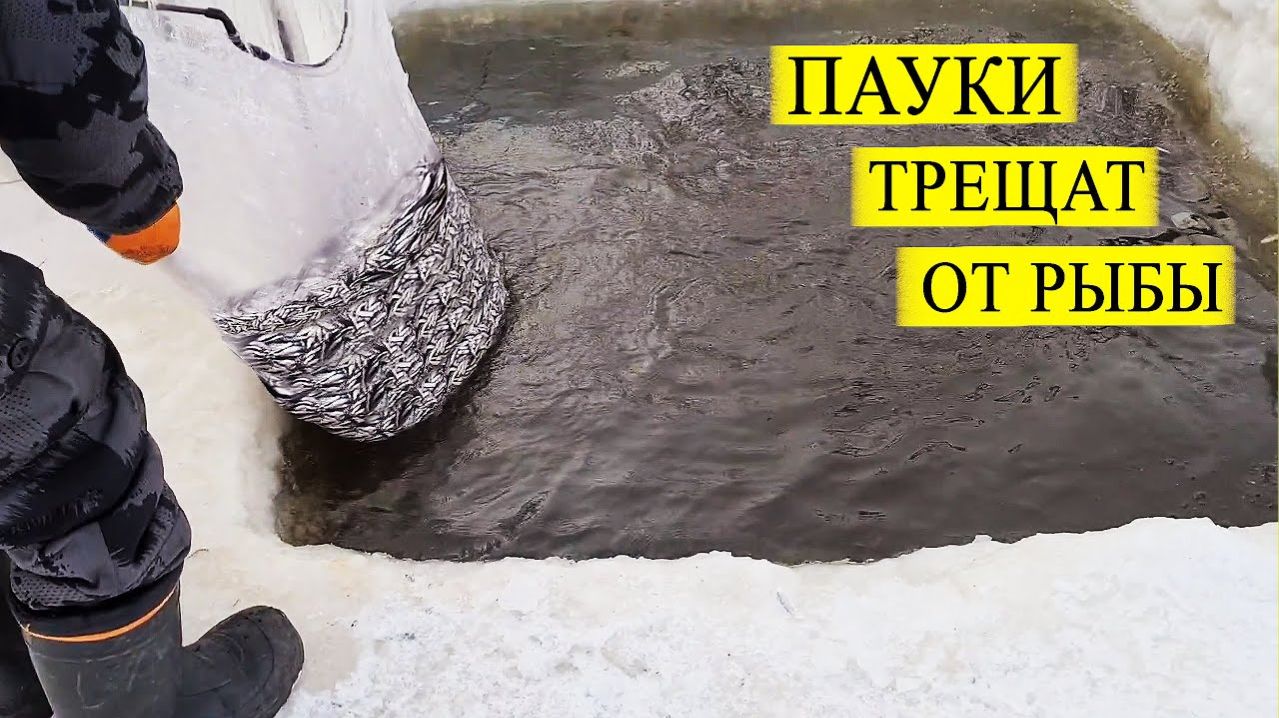 Промысловая Зимняя Рыбалка на Подъёмник. Лучшая Русская Рыбалка на RUTUBE 2026 Онлайн Куча Рыбы 2026