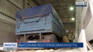 Экспорт пшеницы через порты Краснодарского края увеличился в 1,6 раза