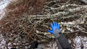 Купил заброшенный дом в деревне ! Электрик приехал! Доски привезли! №20