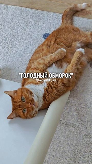 Абсолютная чемпионка😅