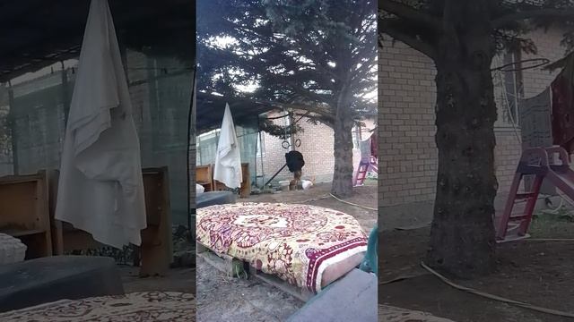 VID_20260405_184234.mp4 смотреть онлайн
