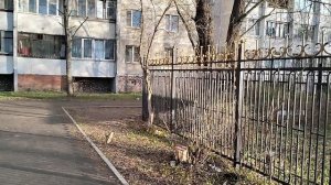 ЛЁХА ПОКАЗАЛ СЕБЯ ВО ВСЕЙ КРАСЕ ИДЁМ И СМОТРИМ😁