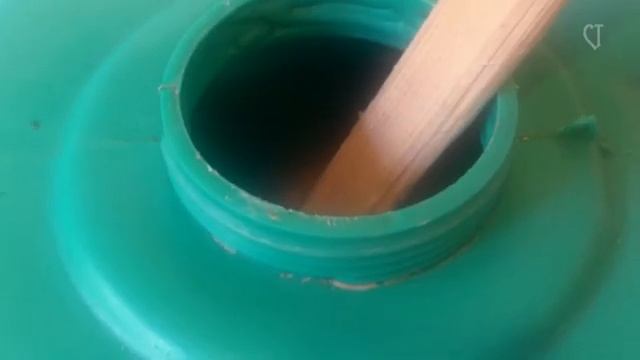 Брага на пшенице