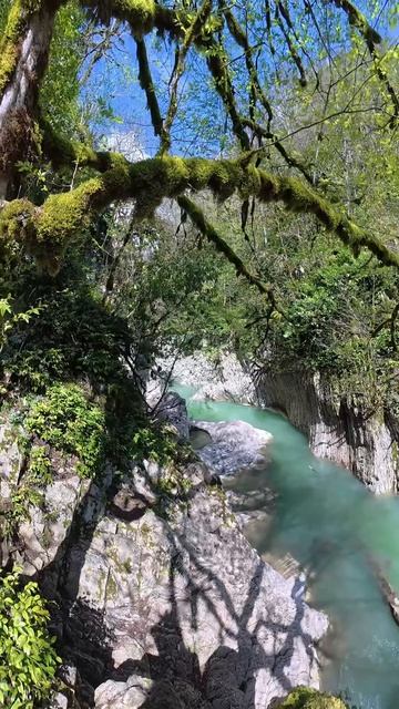 Банька в горах Сочи 🏔️