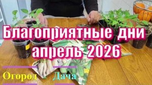 Благоприятные ДНИ в АПРЕЛЕ 2026 🌱 Лунный календарь садовода и огородника
