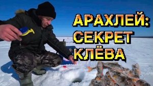 Окунь на Арахлее 2026. На что лучше ловить в марте? Снасти и тактика